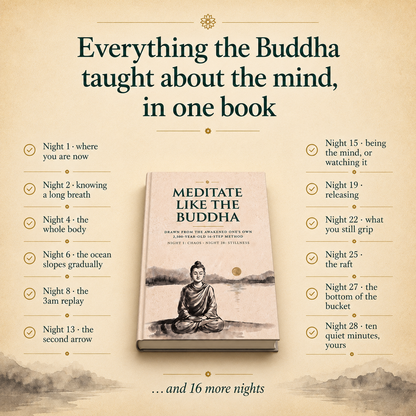 Meditate Like The Buddha